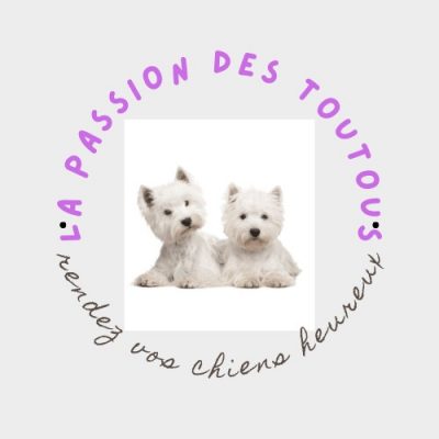 nouveau Logo site internet