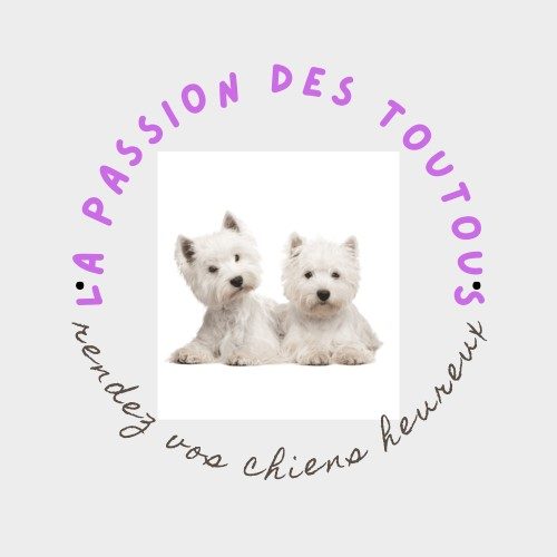 nouveau Logo site internet nouveau Logo site internet